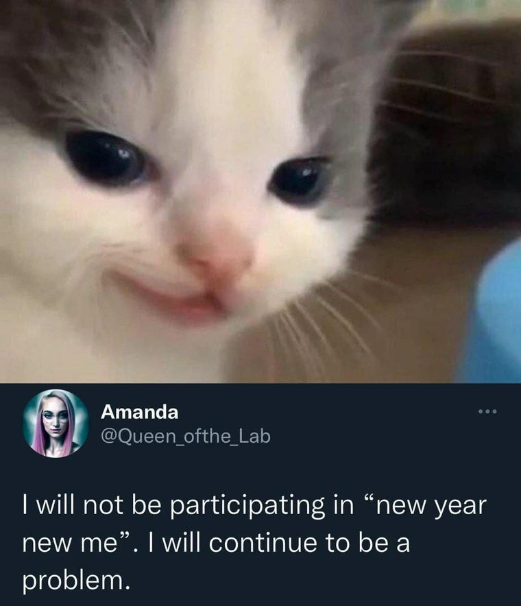 35 Reasons Why You Need To Quit Your Job And Become A Cat 11 new year new me - quit your job memes