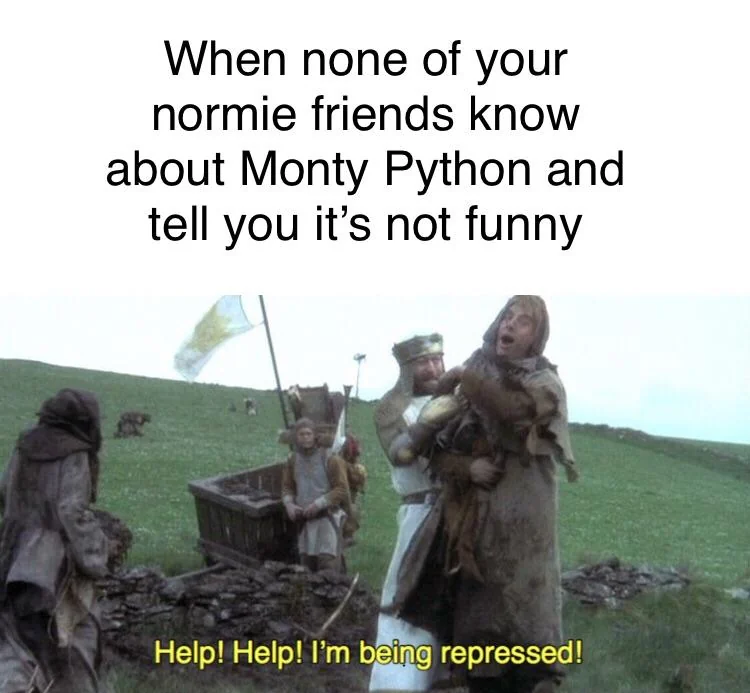 37 Best Monty Python Memes That Will Make You Say "A Blessing From The Lord" 37 none of normie friends