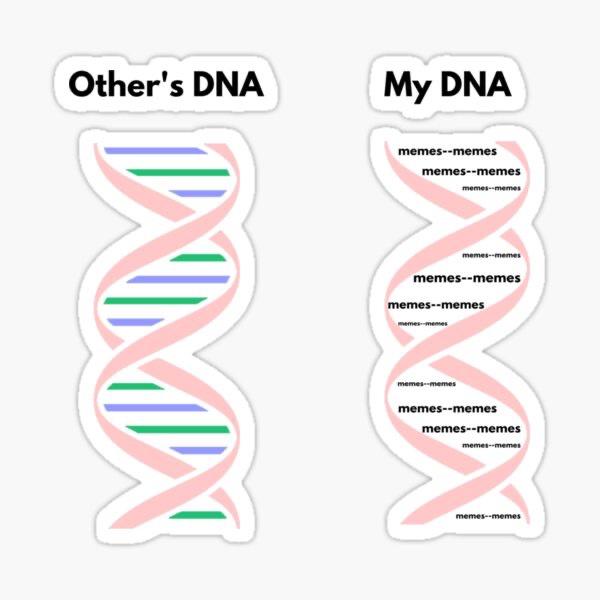 24 DNA Memes That Are Genetically Engineered for Laughs 14 others dna - DNA Memes
