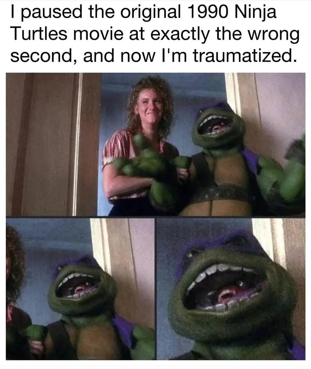 20 Memes That Will Help You Pretend You’re Working Hard 10 paused turtle ningja