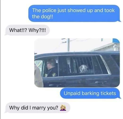35 Puns That Are Even Fun-er Than A Good Burrito 11 Police took the dog - puns