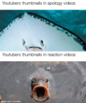 25 Fish Memes That Are the Catch of the Day - Animals