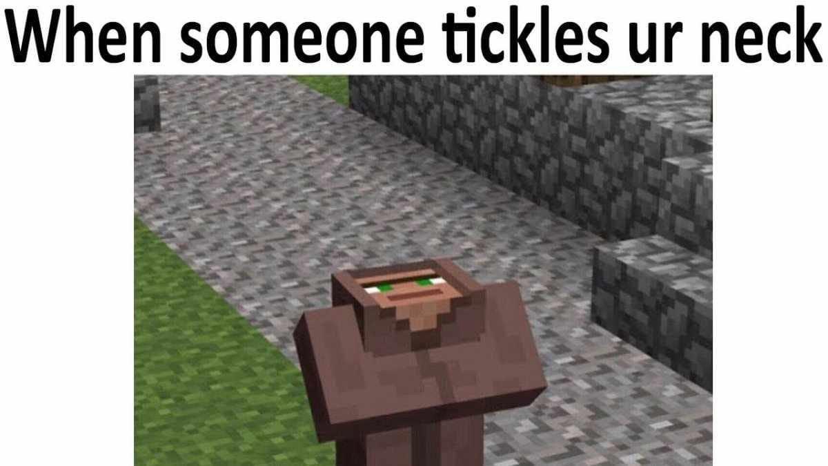 25 Memes That Will Never Disappoint 17 tickles your neck