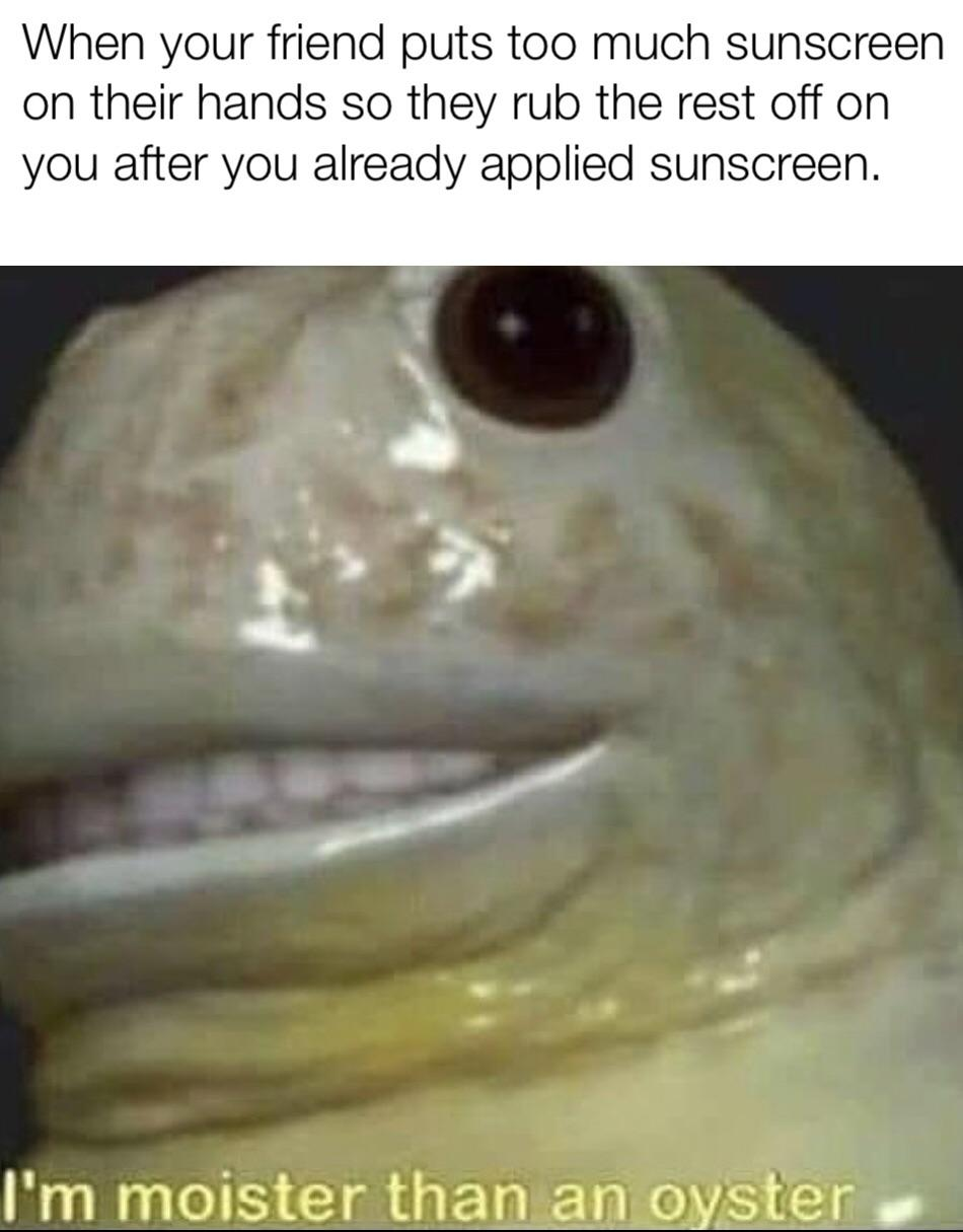 25 Fish Memes That Are the Catch of the Day 20 too much sunscreen - Fish Memes
