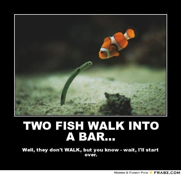 25 Fish Memes That Are the Catch of the Day 21 two fish - Fish Memes