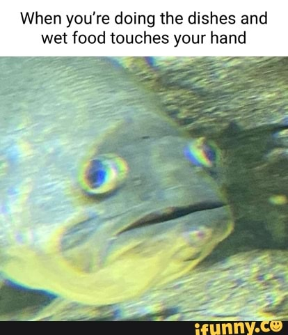 25 Fish Memes That Are the Catch of the Day 25 youre doing dishes - Fish Memes