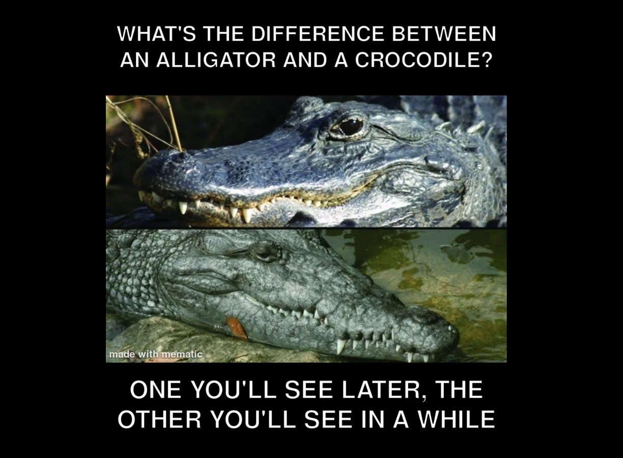 30 Bad Jokes That Are So Bad They're Actually Funny - FG.jpeg