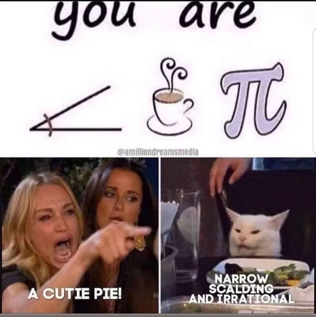 A cutie pie - woman yelling at cat memes