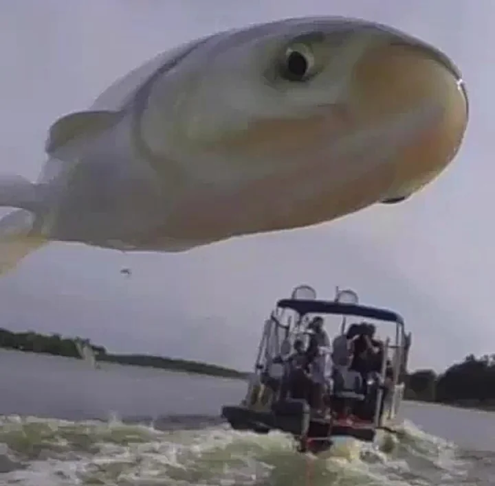 20 Extraordinary Coincidences You Have to See to Believe 2 A fish jumps right in front of the camera and creates funny picture - Extraordinary Coincidences