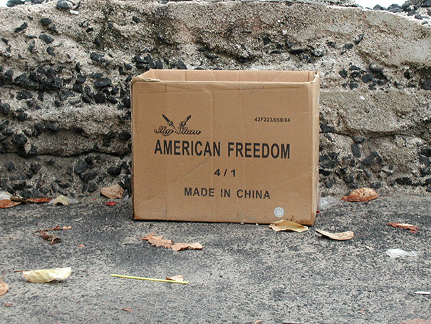 34 Ironic Memes That Show Life Isn't Always Picture Perfect! 1 American freedon