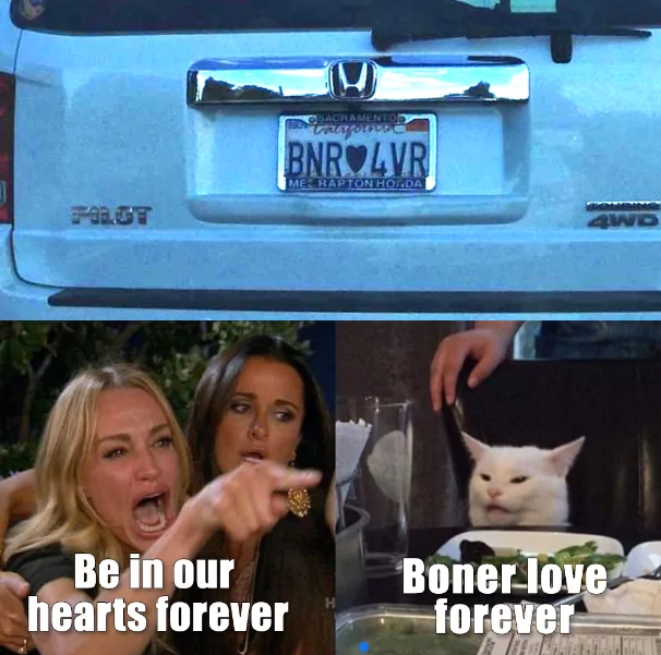 Be in hearts forever - woman yelling at cat memes