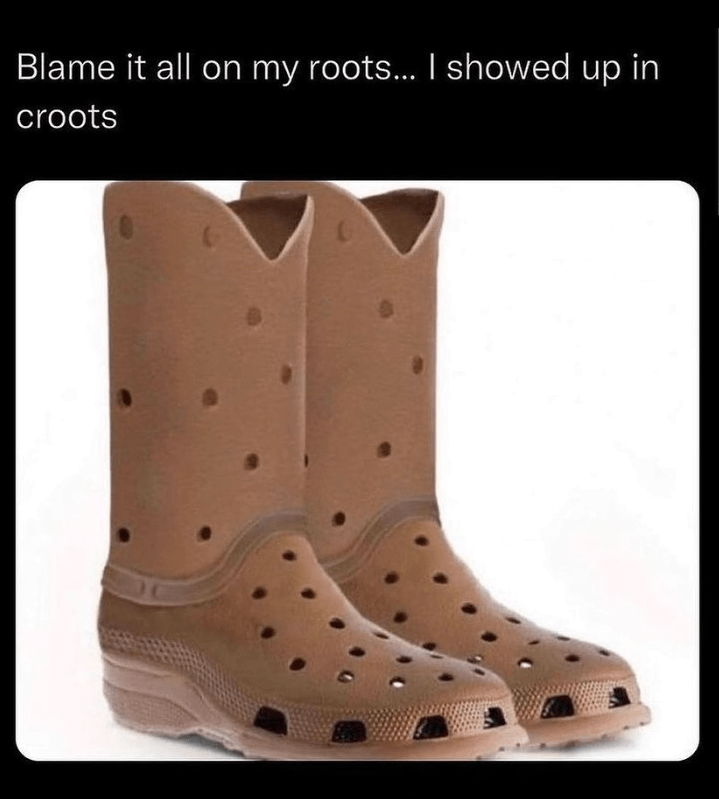 10 Country Music Memes to Make You Laugh This International Country Music Day 1 Blame it all