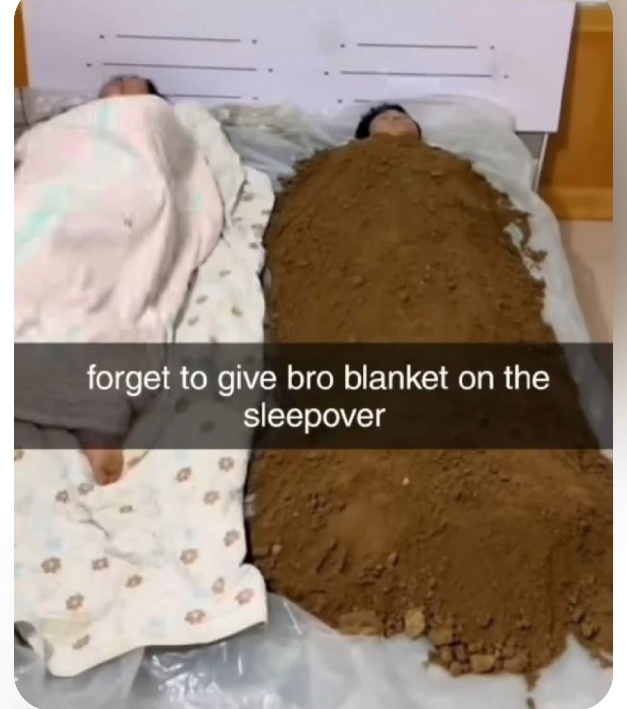 Bro thinks hes plant