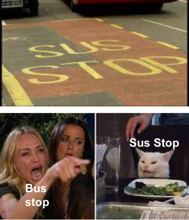 Bus stop - woman yelling at cat memes