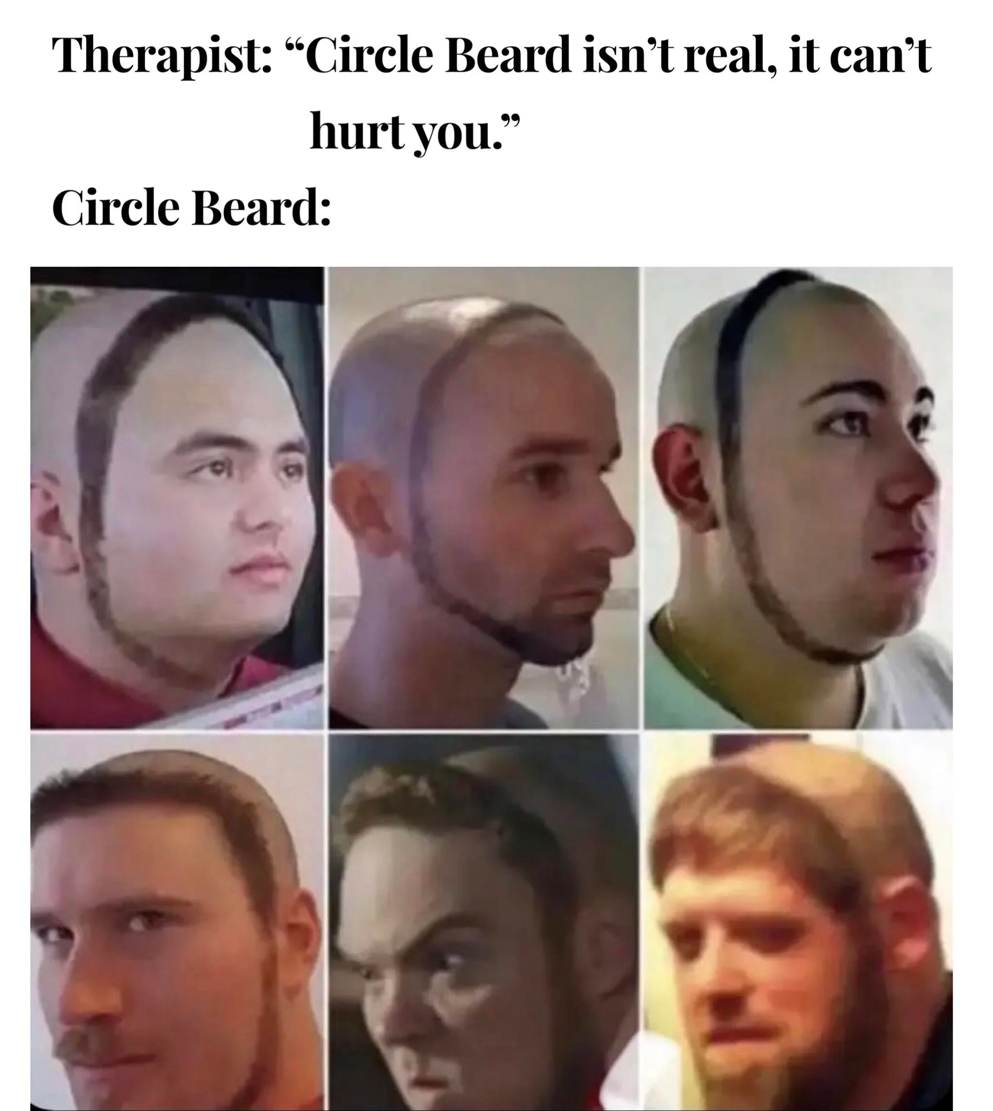 20 Beard Memes to Celebrate Facial Hair on World Beard Day 1 Circle beard - Beard Memes