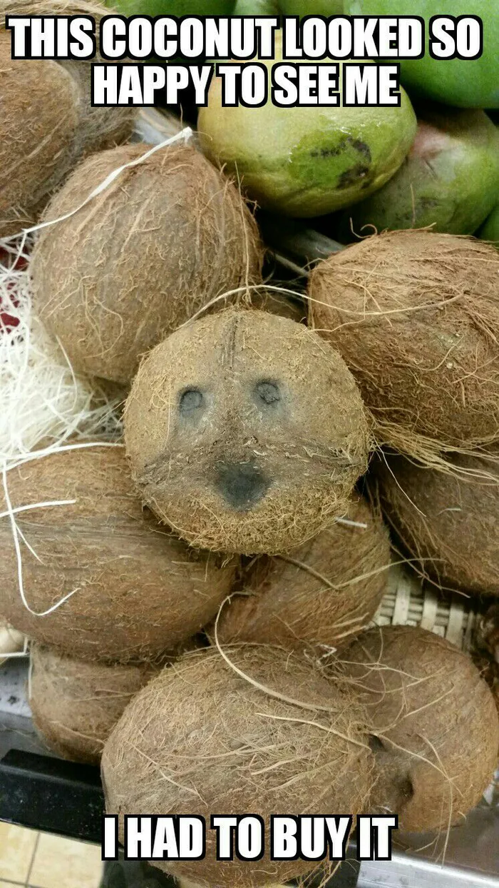Coconut looked happy