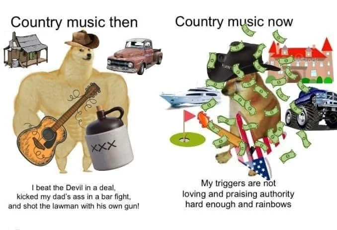 10 Country Music Memes to Make You Laugh This International Country Music Day 4 Country music fans
