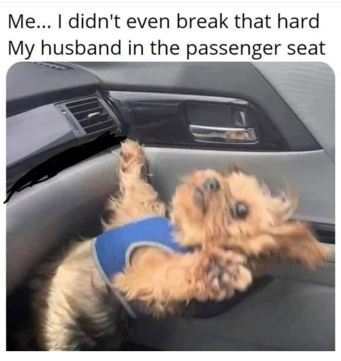35 Married Memes That Reveal Hidden Secrets Of Married Life 4 Didnt even brake that hard
