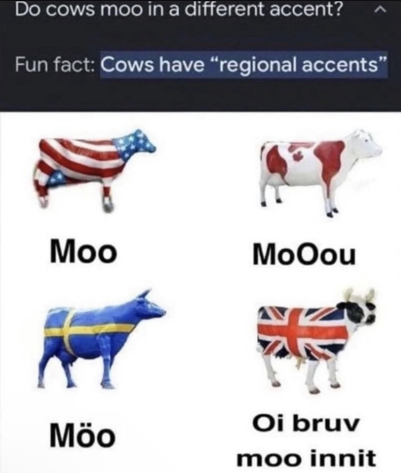 27 British Humor Gems That Could Make a Queen's Guard Crack a Smile 26 Do cows moo