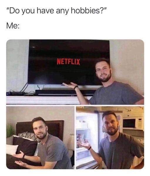 24 Classic Introvert Memes That Celebrate the Art of the Social Escape 3 Do you have any hobbies - Classic Introvert Memes