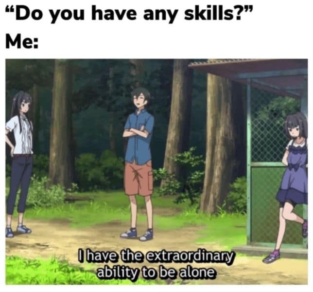 24 Classic Introvert Memes That Celebrate the Art of the Social Escape 4 Do you have any skills - Classic Introvert Memes