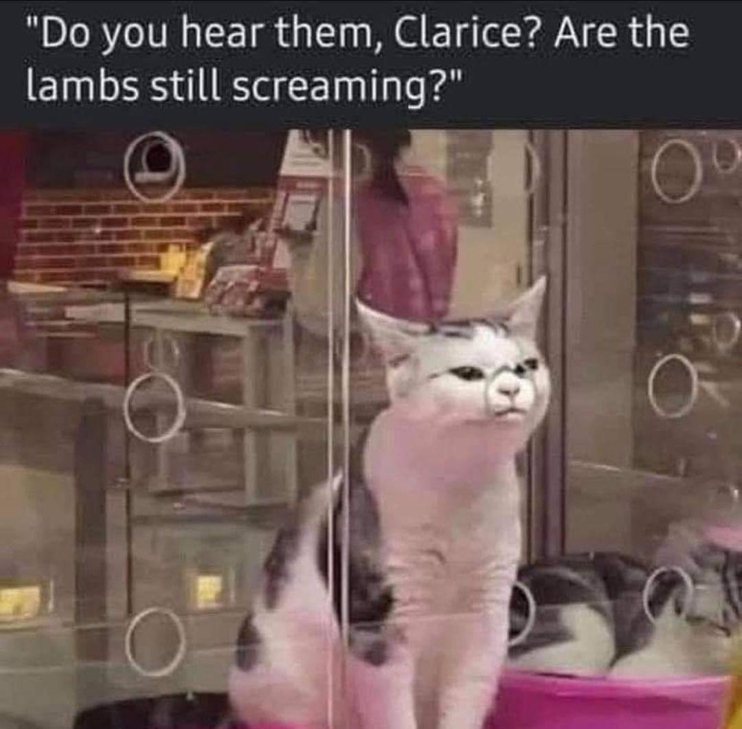 Do you hear them - Spooky Season Memes