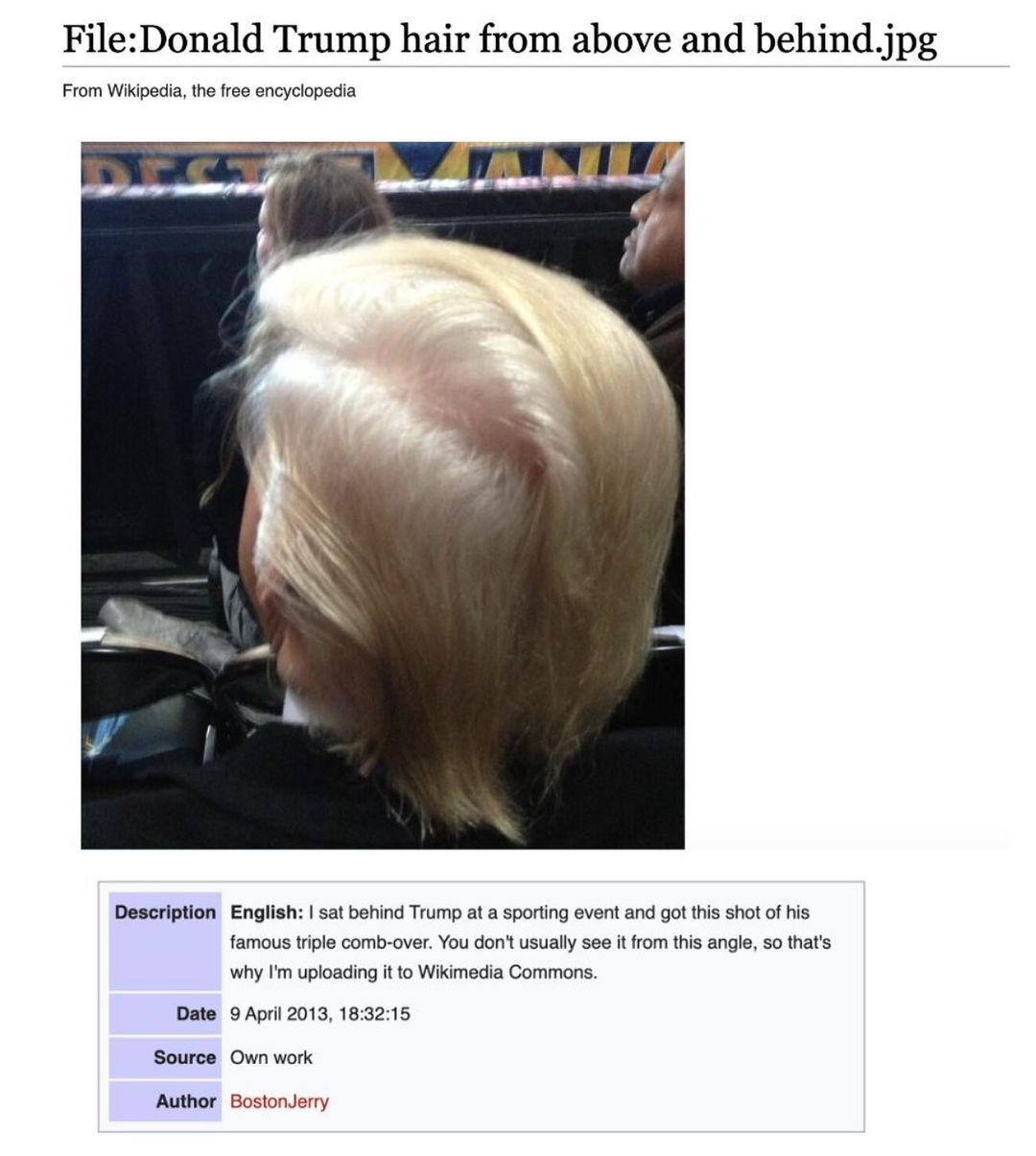 20 Hilarious Wiki Finds, You’ll Think We’re Pulling Your Leg 15 Donald trump hair