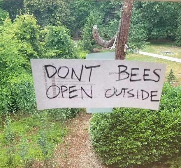 24 Epic Sign Fails That Took a Wildly Wrong Turn! 22 Don't Bees, open outside.