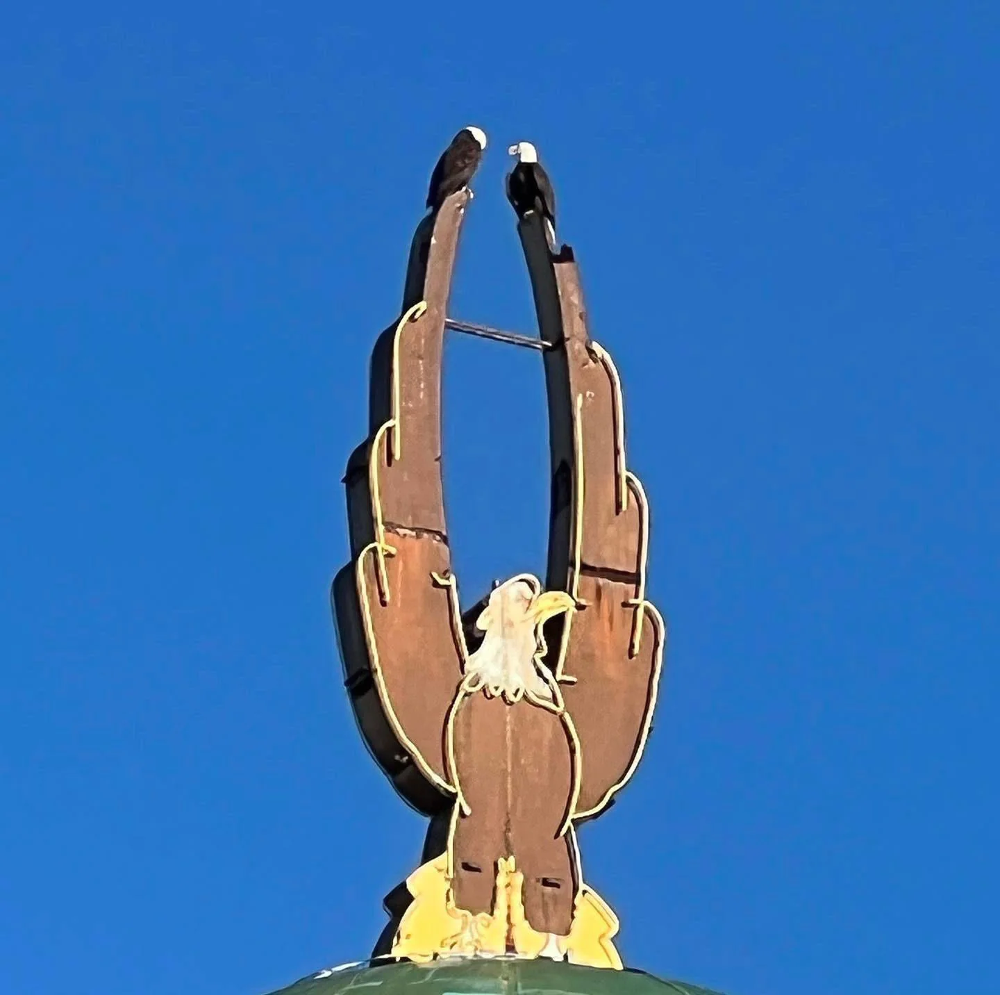 20 Extraordinary Coincidences You Have to See to Believe 5 Eagles on the Seattle Waterfront - Extraordinary Coincidences