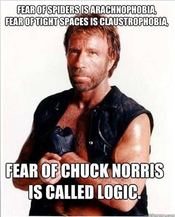 40 Chuck Norris Memes That Will Make You Chuckle 10 Fear od chuck norris is called logic