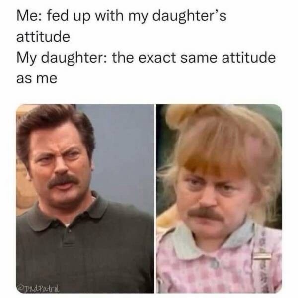 25 Funniest Parenting Memes for When You’ve Got 99 Problems and a Kid is All of Them 23 Fed up with my daughter