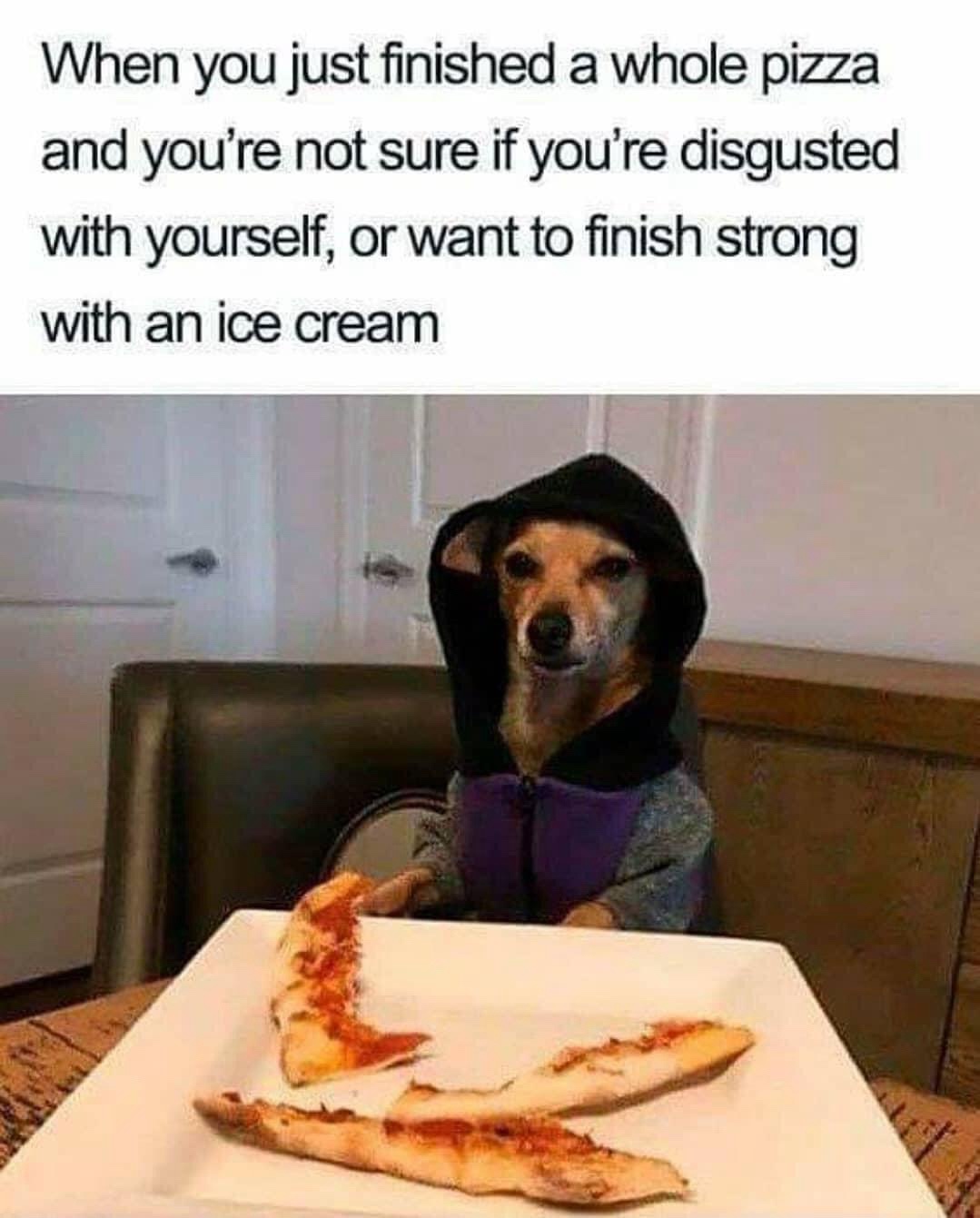 25 Memes So Random, You'll Forget What Day It Is 4 Finished a whole pizza