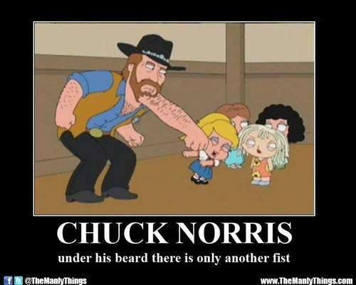40 Chuck Norris Memes That Will Make You Chuckle 11 Fist under beard