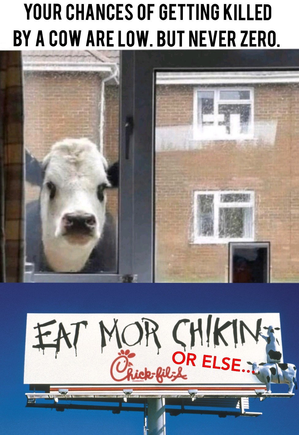 35 Udderly Entertaining Cow Memes That Will Make Your Day Moo-velous! 11 Getting killed by a cow