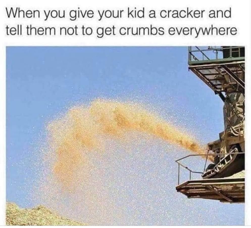 Give your kid a cracker