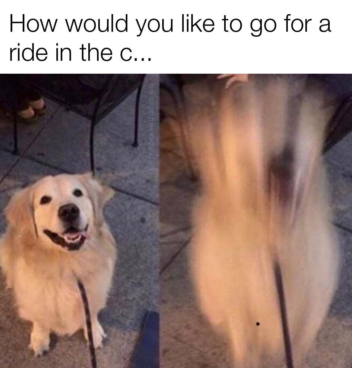 20 Memes That Will Help You Pretend You’re Working Hard 18 Go for a ride