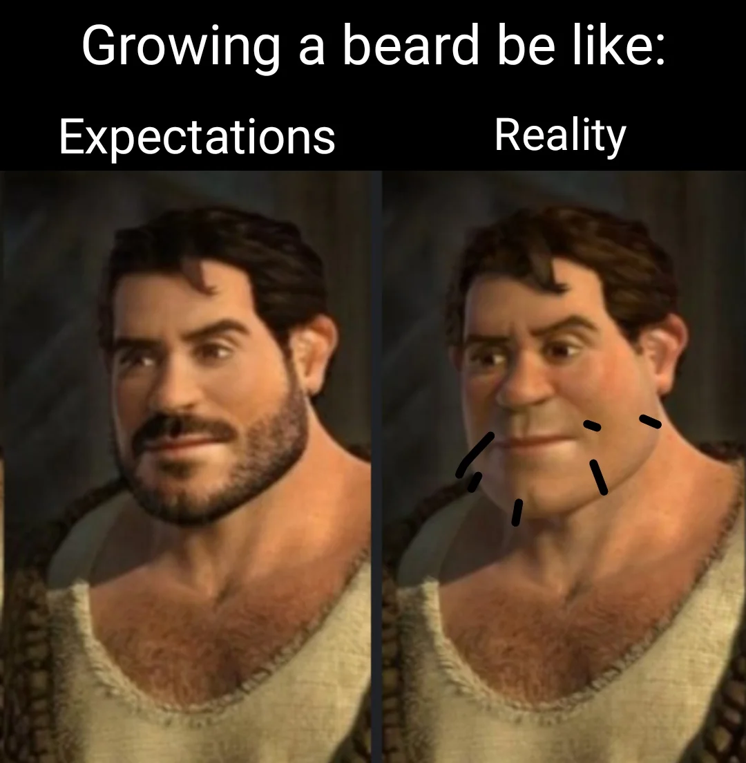 20 Beard Memes to Celebrate Facial Hair on World Beard Day 4 Growing a breard be like - Beard Memes