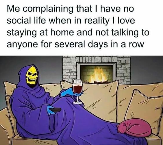 24 Classic Introvert Memes That Celebrate the Art of the Social Escape 7 Have no social life - Classic Introvert Memes