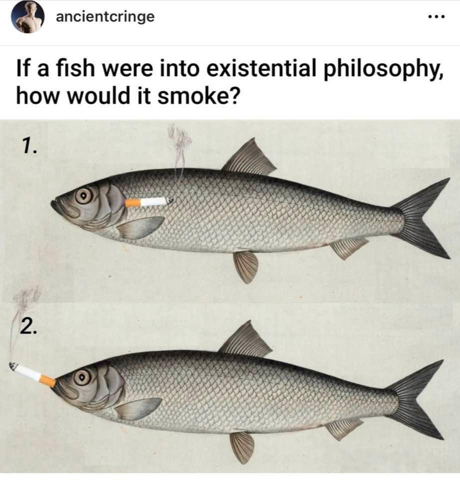 20 Memes to Confuse, Amuse, and Make You Lose Track of Time - 6 How would it smoke
