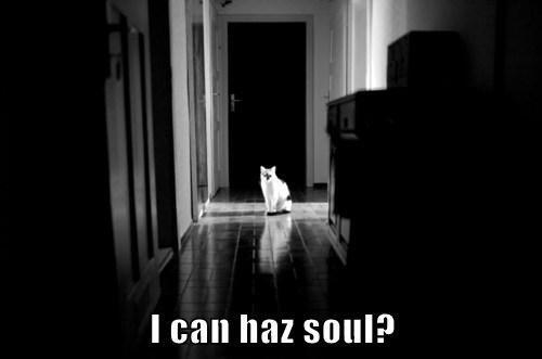 I can haz soul