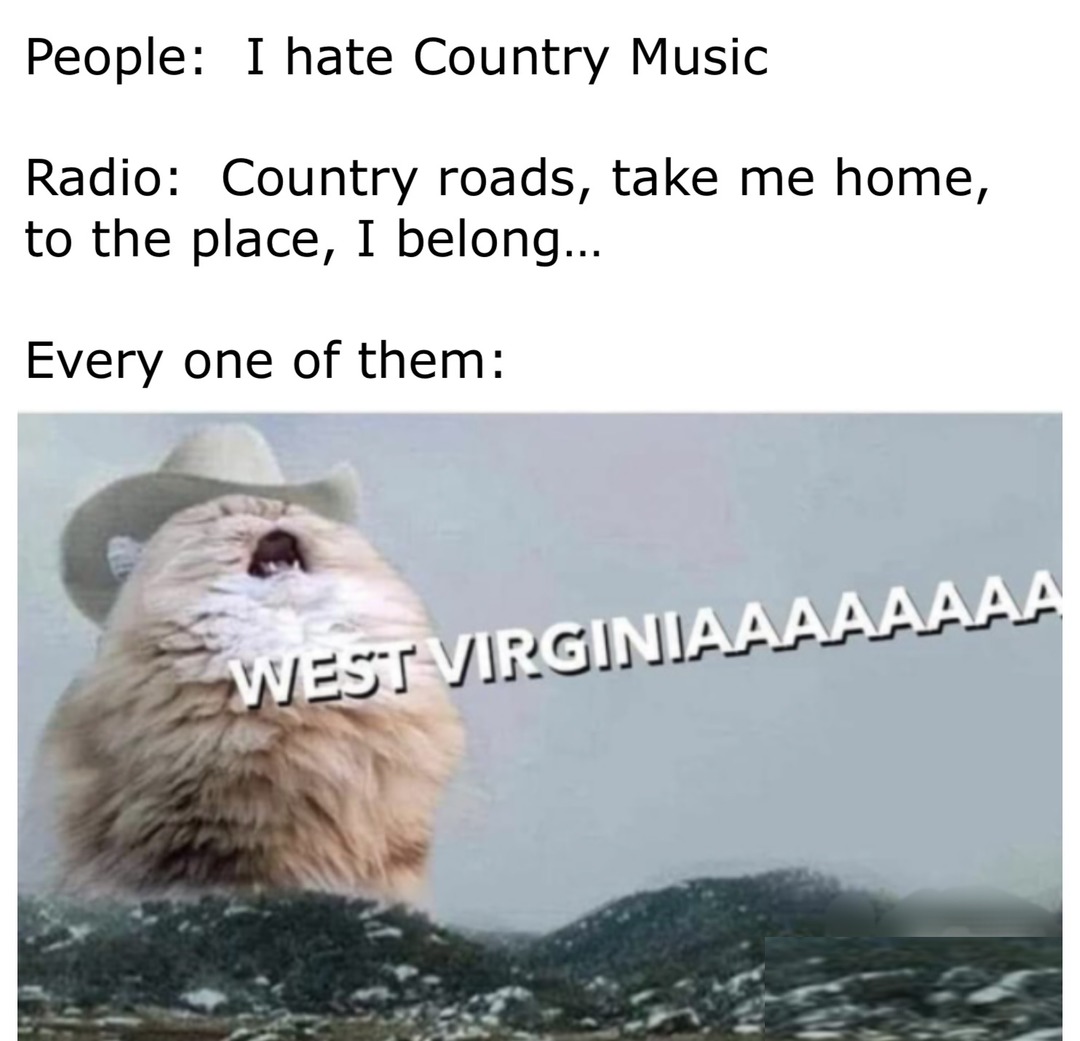 10 Country Music Memes to Make You Laugh This International Country Music Day 5 Country music then