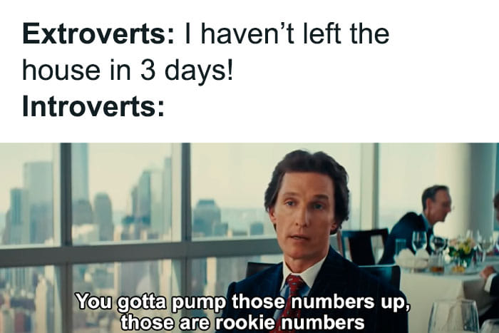 24 Classic Introvert Memes That Celebrate the Art of the Social Escape 8 I havent left the house - Classic Introvert Memes