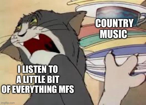10 Country Music Memes to Make You Laugh This International Country Music Day 6 I hate country music