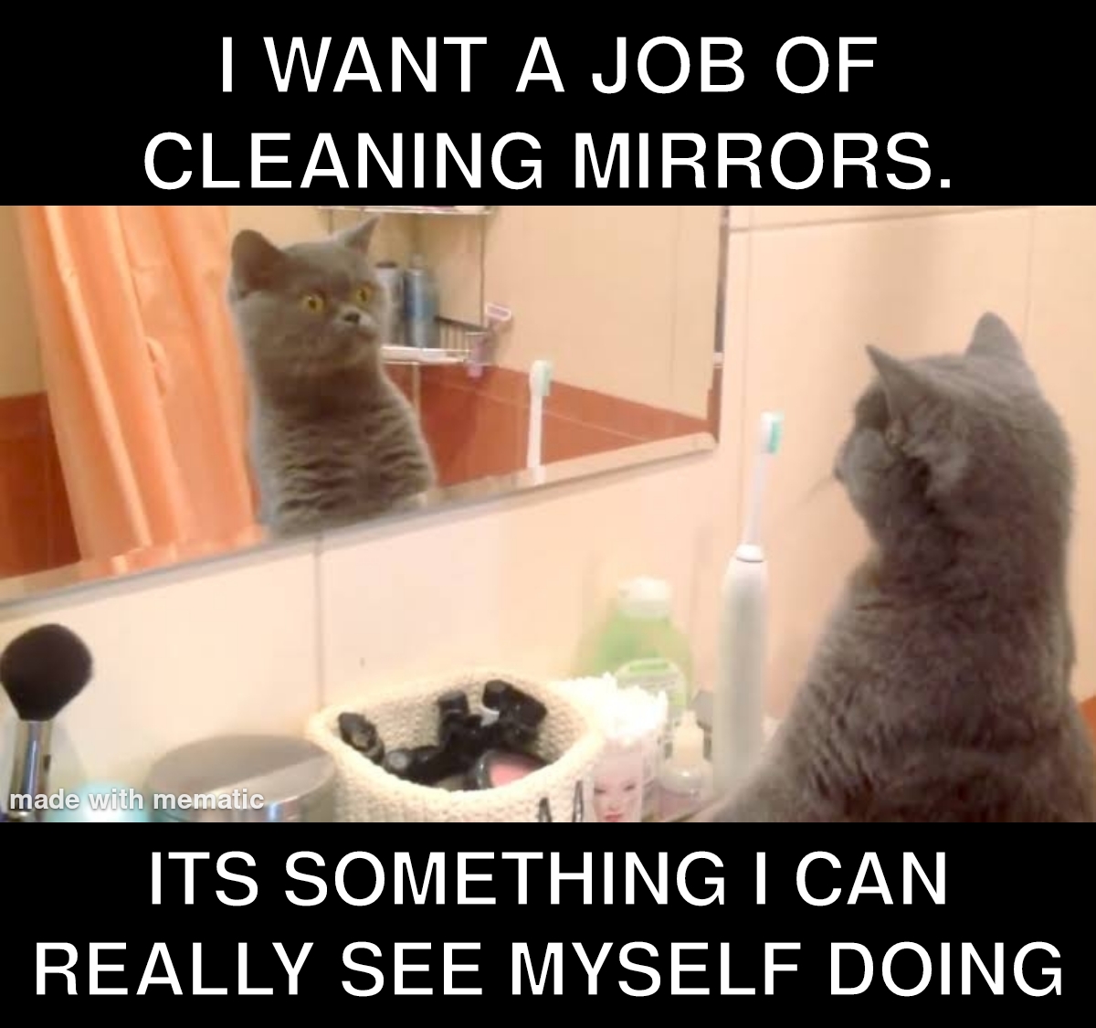 30 Bad Jokes That Are So Bad They're Actually Funny 6 I want a job of cleaning mirrors