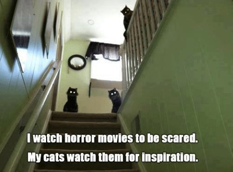 I wtach horror movies