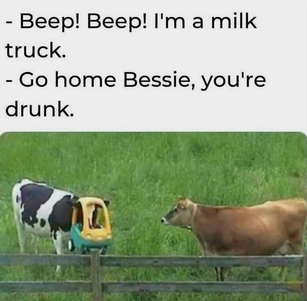 35 Udderly Entertaining Cow Memes That Will Make Your Day Moo-velous! 13 Im a mik truck.jpg