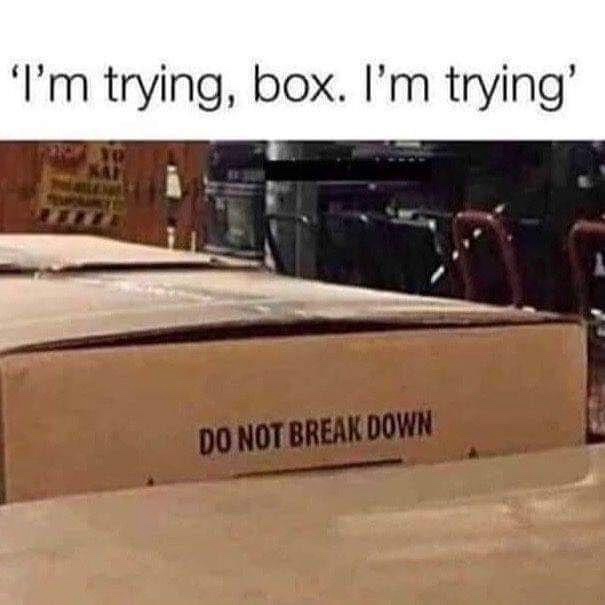 25 Memes So Random, You'll Forget What Day It Is 10 Im trying