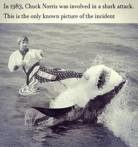 40 Chuck Norris Memes That Will Make You Chuckle 40 Involved in shark attack