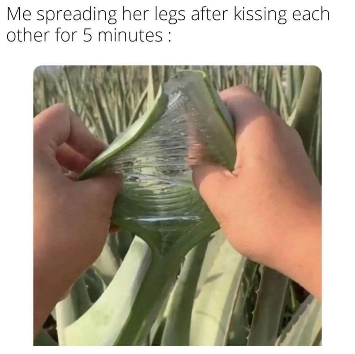 25 Savage Memes That Will Leave You Speechless 8 Kissing each other for 5 mints - Savage Memes