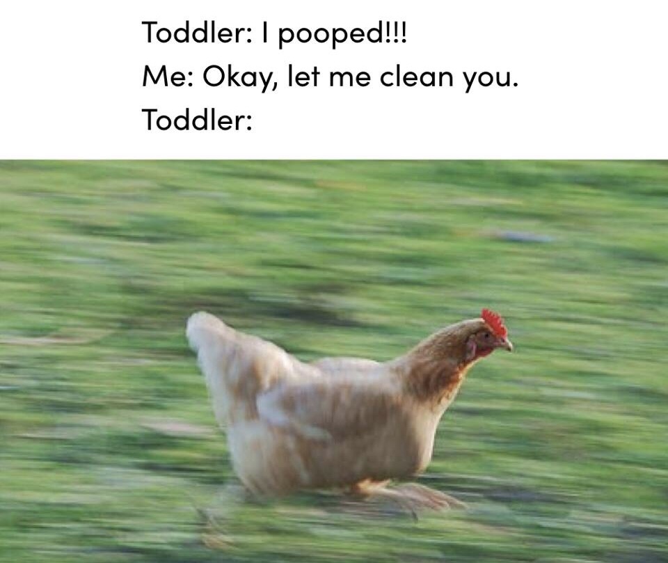 Let me clean